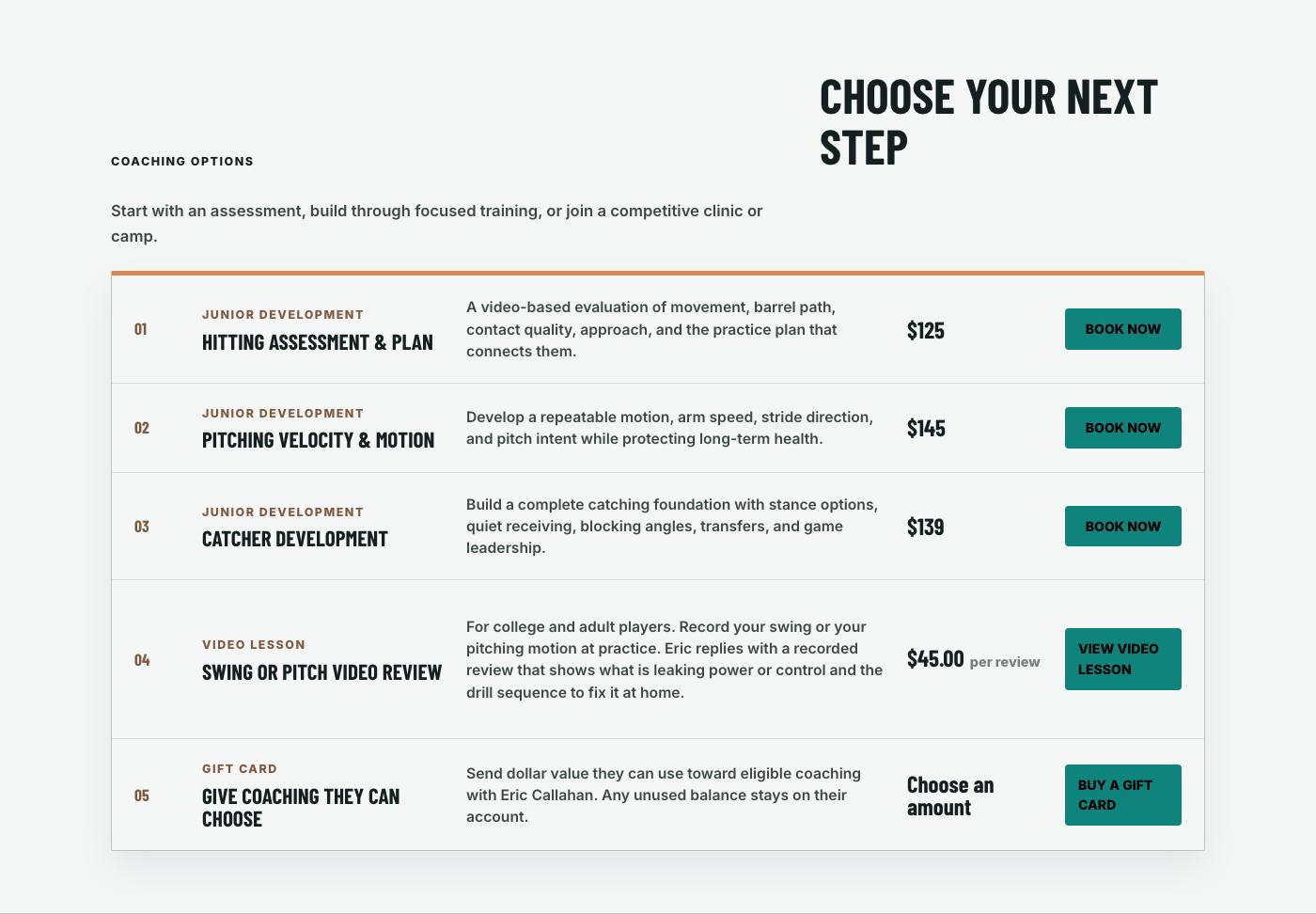 Real coaching options section from Utah Valley Softball Lab